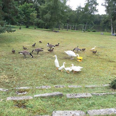 Résidence Clairbois, Chambres d'Hôtes Fère-en-Tardenois Esterno foto